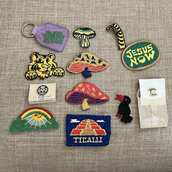 113 Vintage Misc State Park CA Patches Girl Scout Merit Badges 70s 00s READ